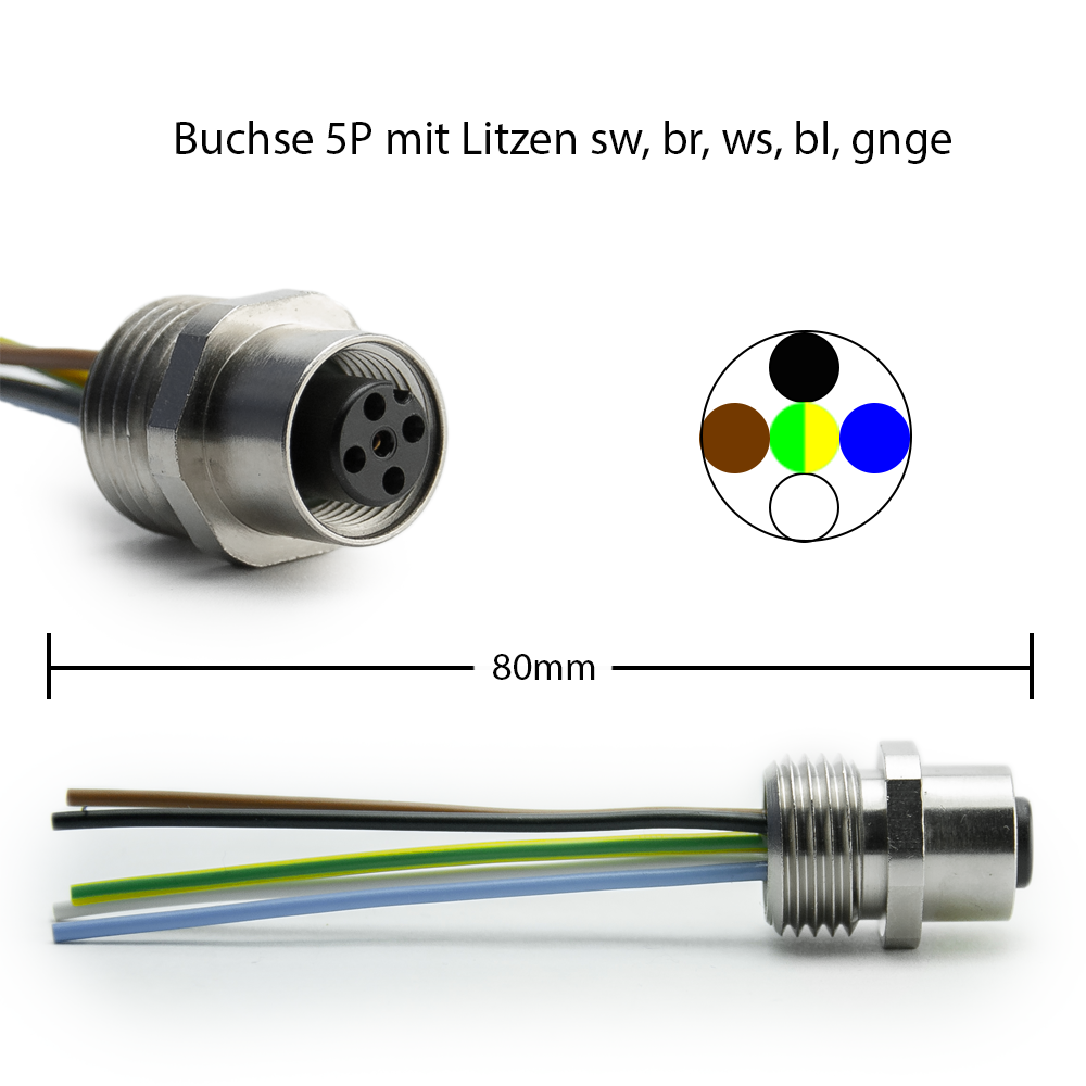 RKFM5/0,06m | M12 5p Belden Lumberg Flanschbuchse | Außengewinde M16  | Rückwand mit 60mm Adern sw/br/ws/bl/gegn