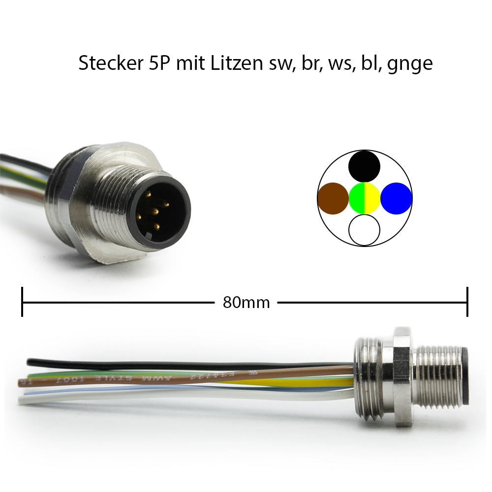RSFM 5/0,06M | M12 5p Belden Lumberg Flanschstecker Rückwand mit 60mm Adern sw/br/ws/bl/gegn
